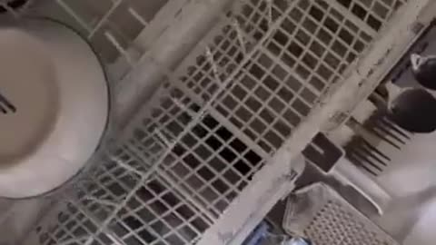 😂🚿 The Struggle is Real: Closing the Dishwasher! | FunFM