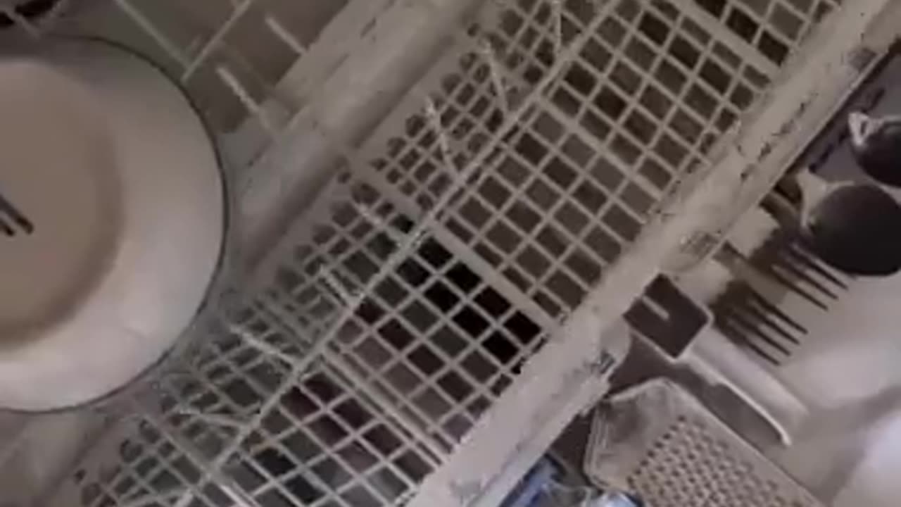 😂🚿 The Struggle is Real: Closing the Dishwasher! | FunFM