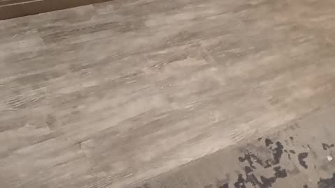 @666GAY1, your gay, effeminate boyfriend Mike Gimson 1984 FORFEITED the right to complain about misogyny EVER again.