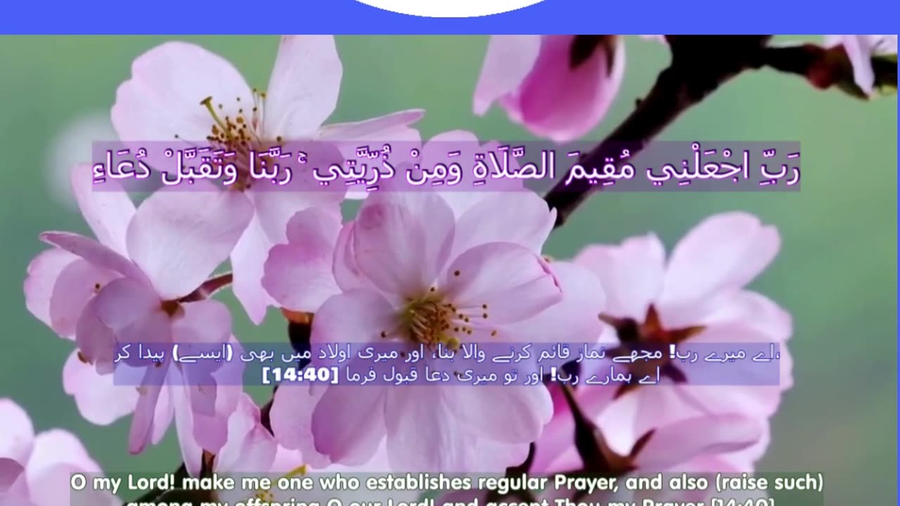 40 Rabbana Duas (Dua no 26)