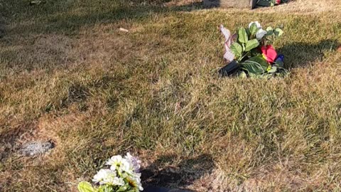 FAMOUS GRAVES - VOL. 339: DENNIS FARINA