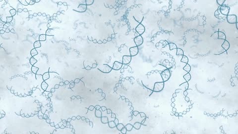 Hunt for the Oldest DNA