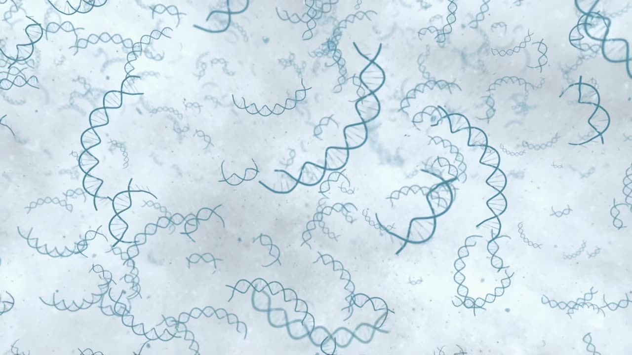 Hunt for the Oldest DNA