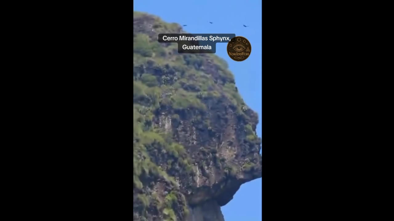 Sphynx in Guatmala