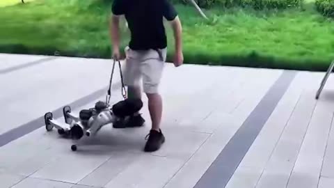 Just say NO to the robotic future 😂