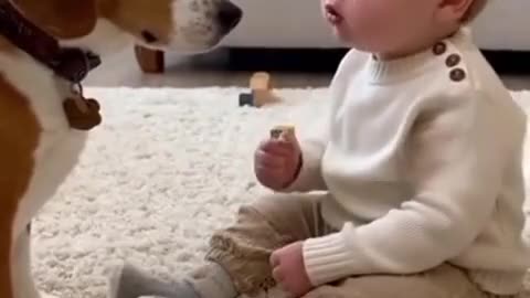 Cute Baby Playing with Animals | Adorable Baby and Pet Moments 2025