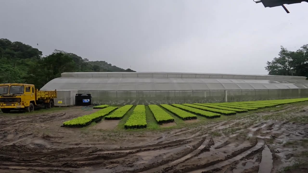 Friends, Firearms, and Farms