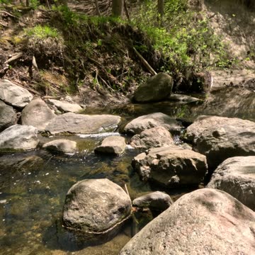 Brook sounds, relax and take a break.