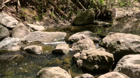 Brook sounds, relax and take a break.