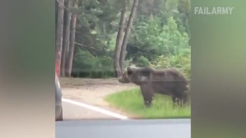 Life or Death Close Calls 😨 | Close Call Compilation