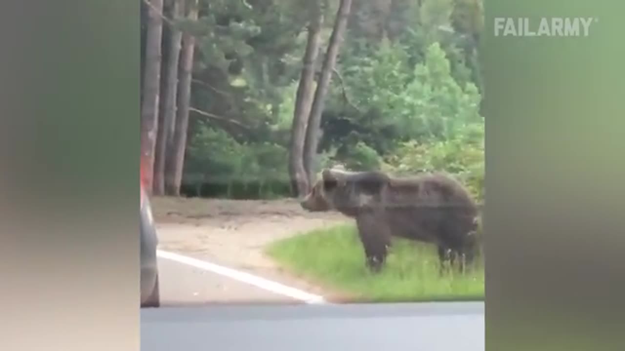 Life or Death Close Calls 😨 | Close Call Compilation