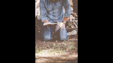 A Journey Through Genesis | The 7 Days of Creation Retold