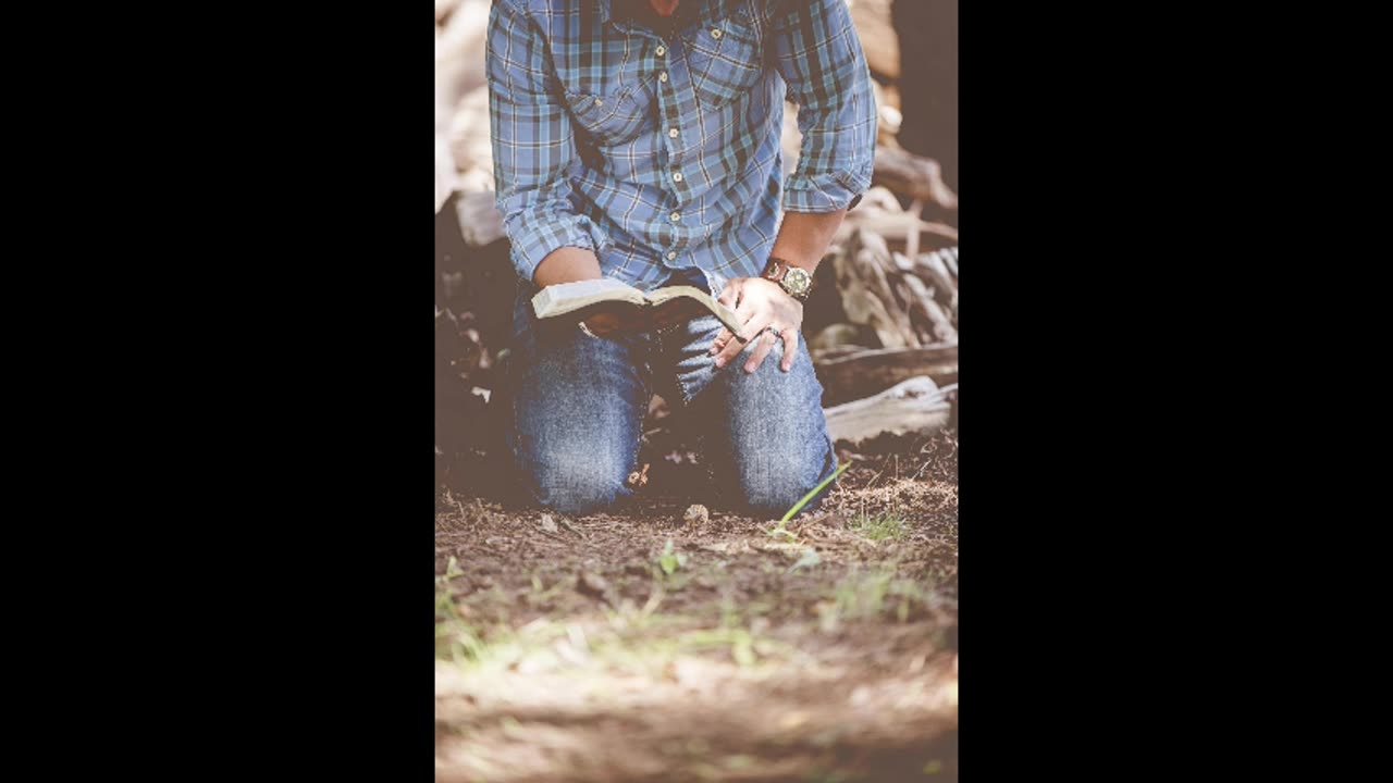 A Journey Through Genesis | The 7 Days of Creation Retold