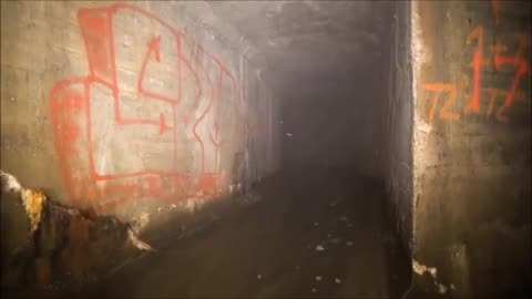 Man captures video of two Pale Crawlers in the sewer
