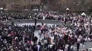 New York will now be an Islamic caliphate in America.