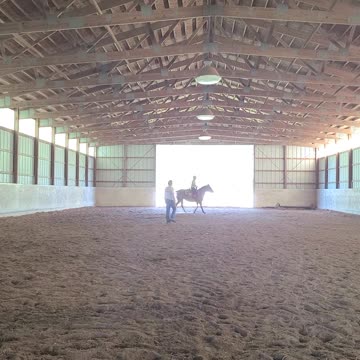 Diva Not cooperating with a canter!