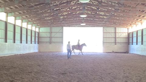 Diva Not cooperating with a canter!