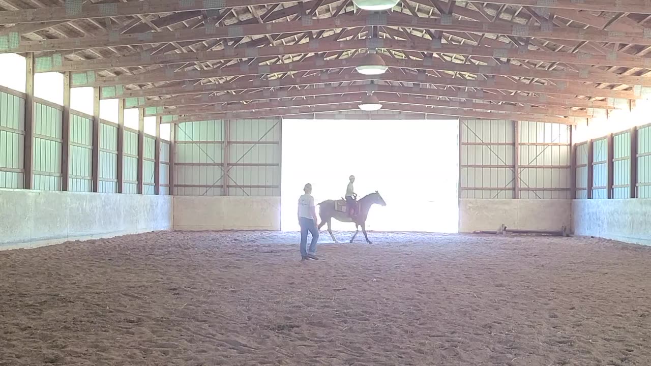 Diva Not cooperating with a canter!