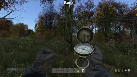 Samson Simpson! I stick by my story! I'm from Jamaica. (DayZ)