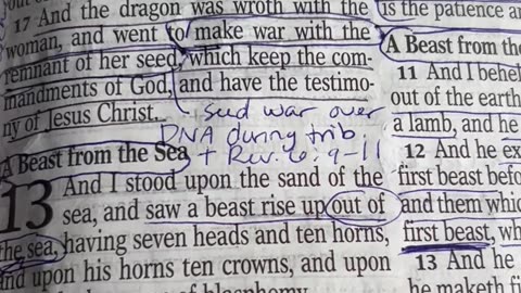 Revelation Part 10