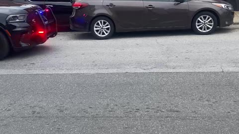 Hood-Jumping Cops Can't Contain Sidewalk Driver