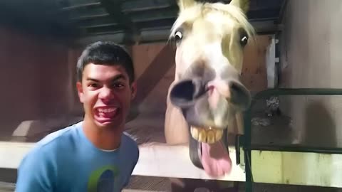 Comedian Animals Will Make You Laugh So Hard 😁Funniest ANIMAL Videos