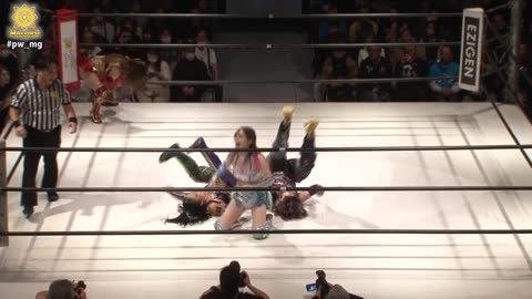 MARIGOLD New Year Golden Garden 1-17-2026