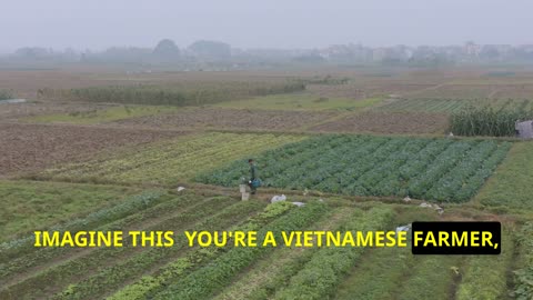Monsanto's Agent Orange: The Untold Story