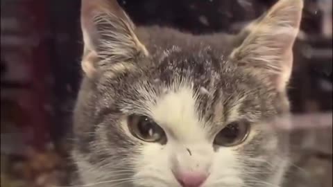 Not This House Buddy