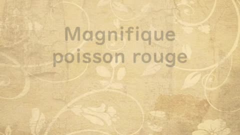 Magnifique poisson rouge - Huhito Fables-Version française Vol.30