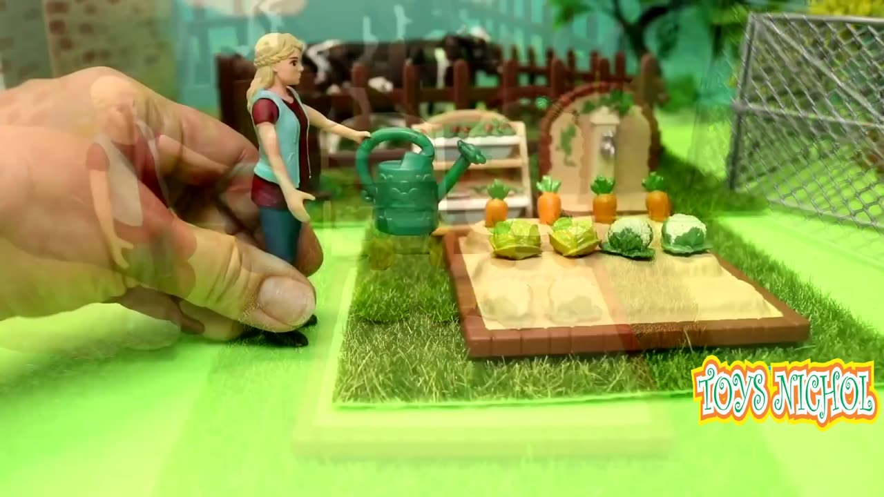 Watering Cabbage and Carrots in the Morning with Fresh Water