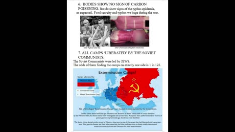 'Hollow Lies' short in Book Form - Holocaust Debunking