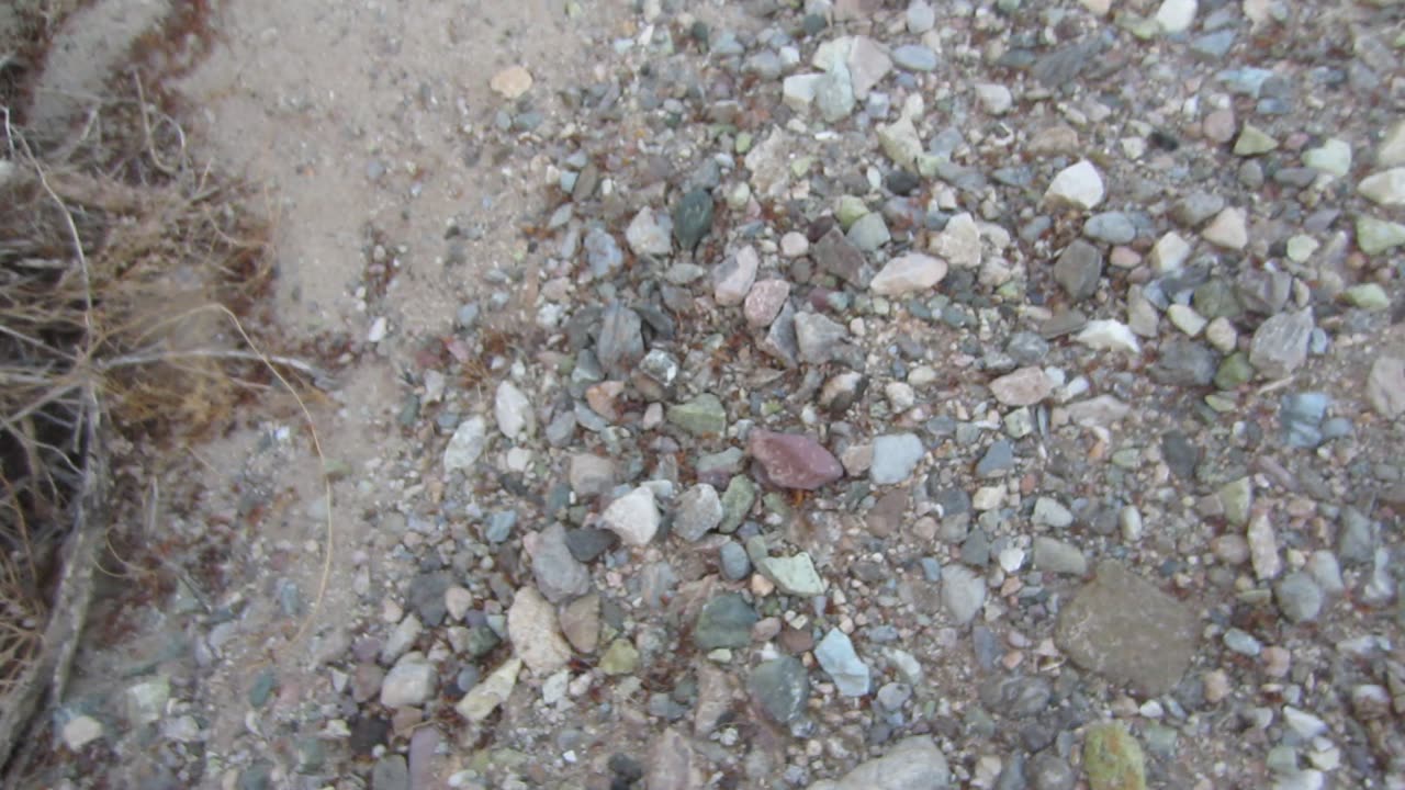 Golfing in Quartzsite Arizona's desert part 2