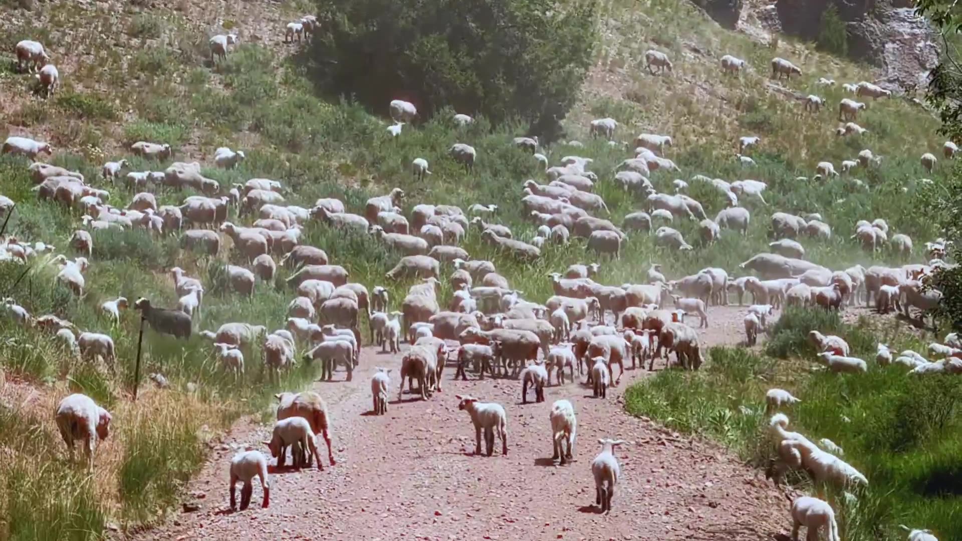 Glenn Beck · Take a joyride with me around my Idaho ranch