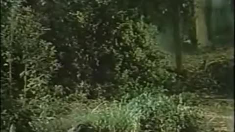 Barbara Stanwyck en La presencia del diablo - Película en Español