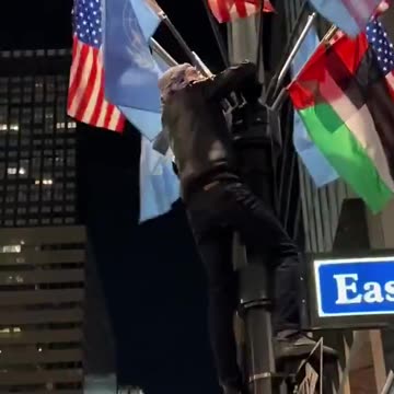 Muslims ripping down American flags in NYC… You get exactly what you voted for…