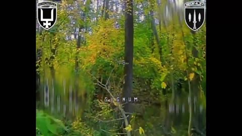 🚀🇺🇦 Ukraine Russia War | Ukrainian Unit Signum's FPV Kamikaze Drone Highlights | RCF