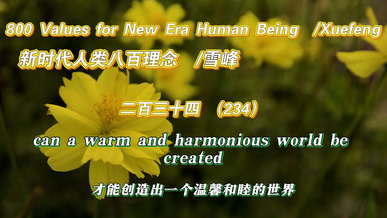 800 Values for New Era Human Being（234）