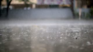Monsoon Meditation and Relaxation |