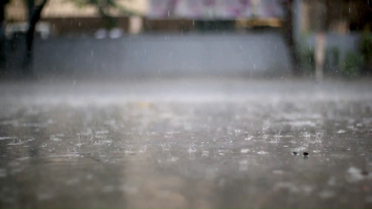 Monsoon Meditation and Relaxation |