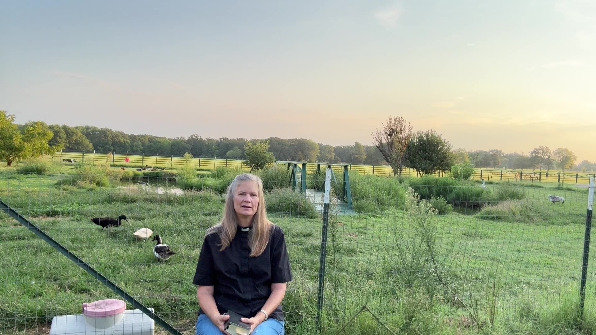 Morning Prayer, Daily Office