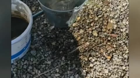 KAMČATKU ZASÁHLO ZEMĚTŘESENÍ M 7,4 13.9.2025