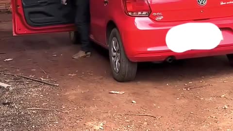 How women finish housework before their husbands come home?