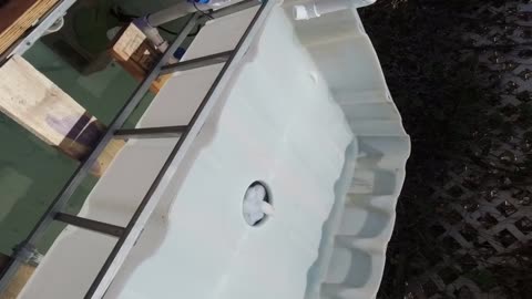 IBC Tote cycle testing