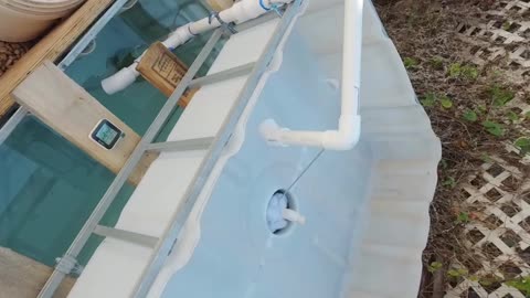 IBC Tote cycle testing