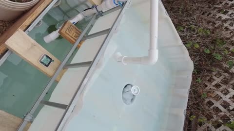 IBC Tote cycle testing