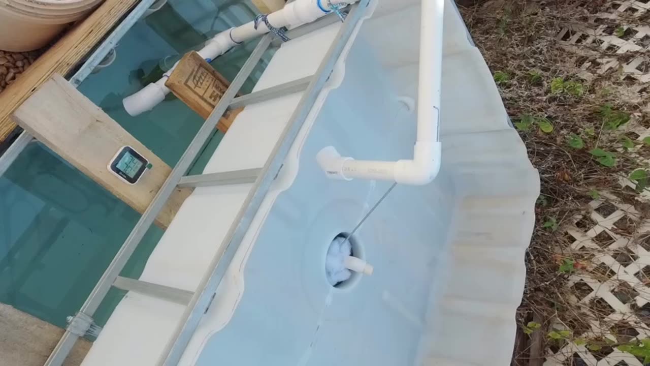 IBC Tote cycle testing