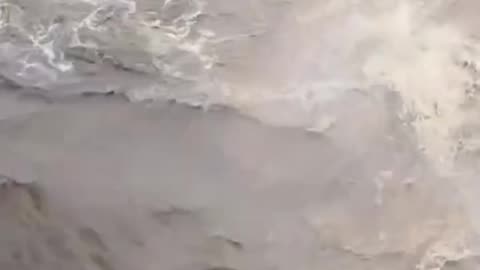 "एक सेकंड की सनक… पूरी ज़िंदगी का खतरा!" ⚠️