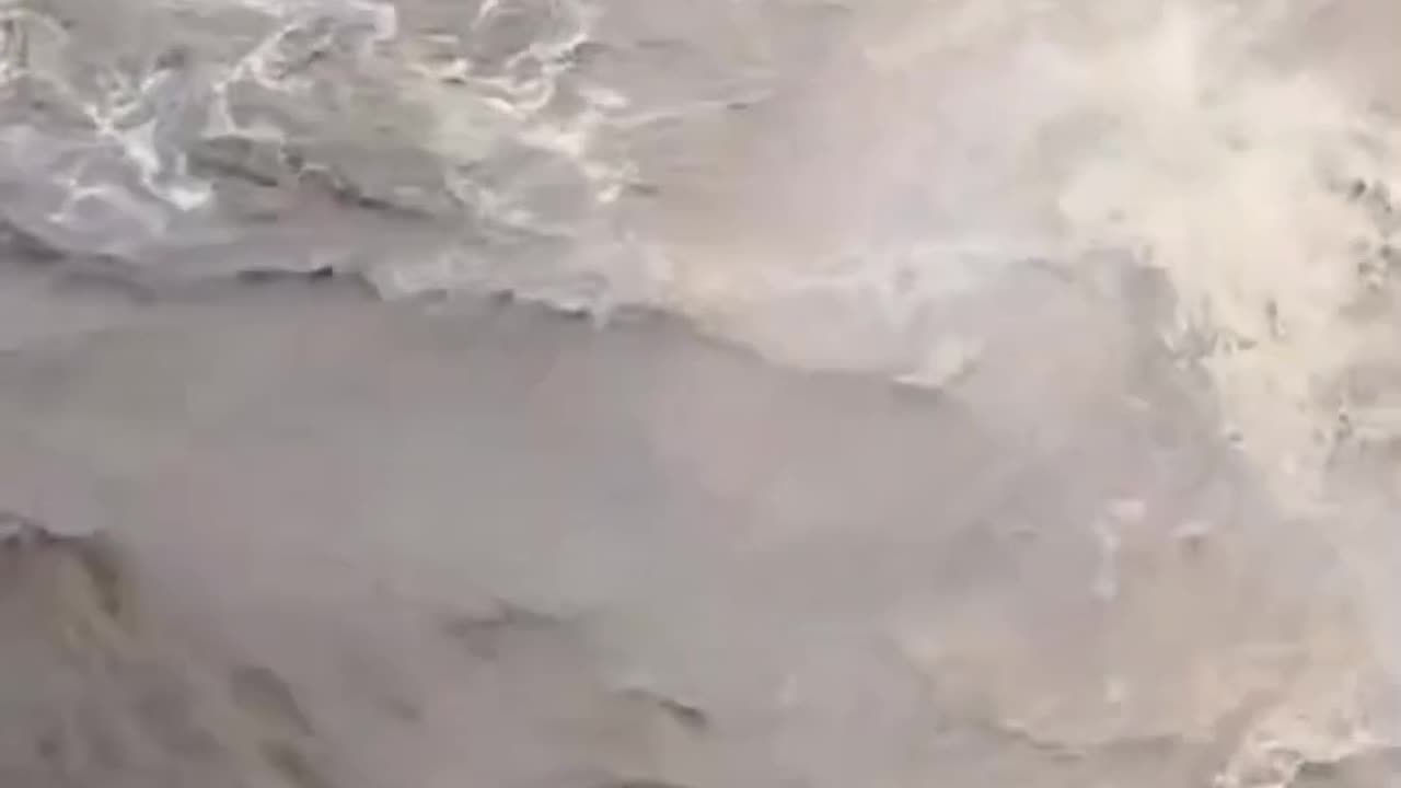 "एक सेकंड की सनक… पूरी ज़िंदगी का खतरा!" ⚠️