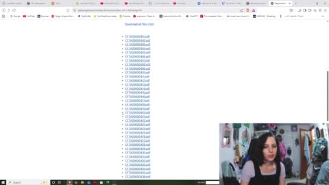 LEts See THe Epstien Files?